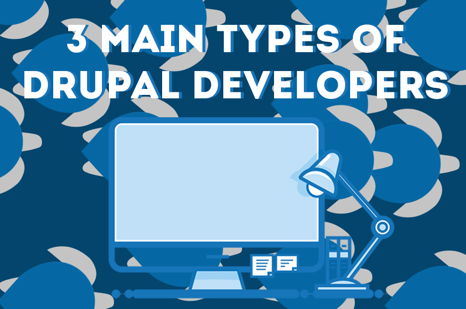 What type of Drupal developer do you need for your project?